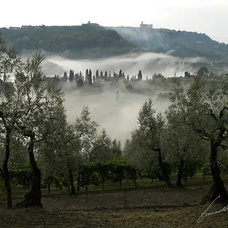 Iii Apicius By Interhome Volterra